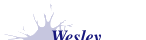 Wesley Neurology Clinic Logo